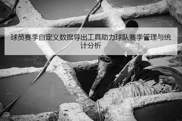 球员赛季自定义数据导出工具助力球队赛季管理与统计分析
